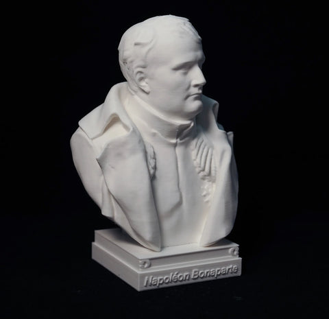 Buste Napoléon 15 cm