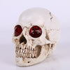 Statue crâne réaliste yeux rouges 19 cm