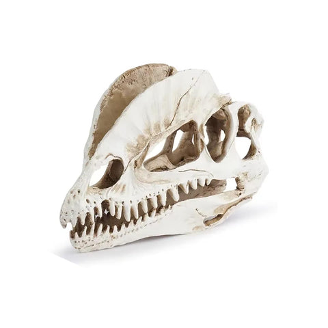 Statue crane dinosaure 12 cm