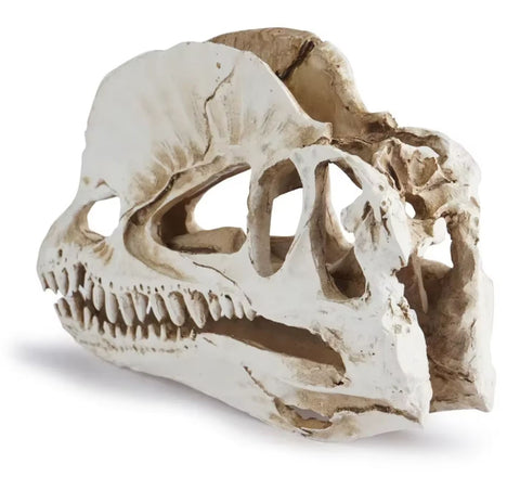 Statue crane dinosaure 12 cm