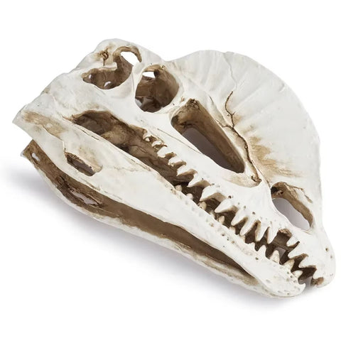 Statue crane dinosaure 12 cm