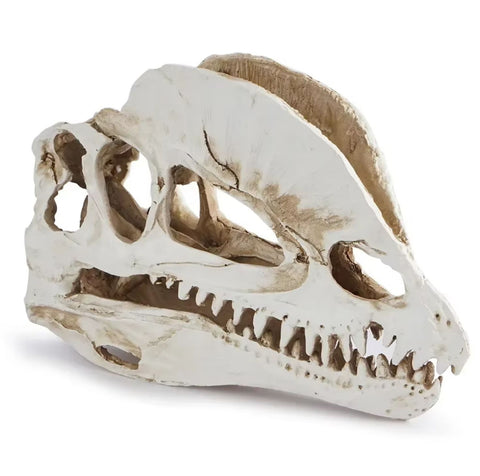 Statue crane dinosaure 12 cm