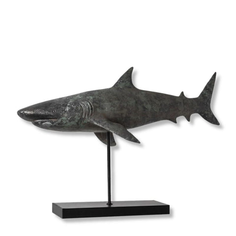 statue requin