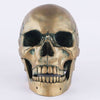 Statue Tête de Mort <br/> Crâne Bronze 15 cm
