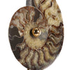 Sculpture Decoration Interieure