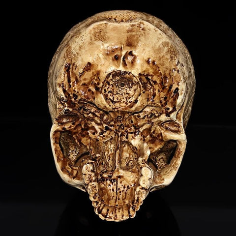 Statue Tête de Mort <br/> Crâne Ancien 15 cm