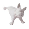 Statue Chien <br/> Bouledogue Couleur 33 cm