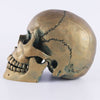 Statue Tête de Mort <br/> Crâne Bronze 15 cm