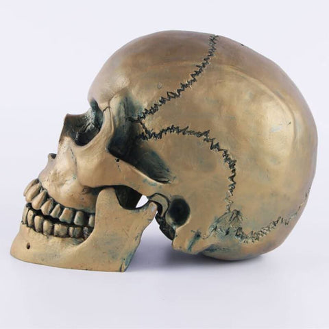 Statue Tête de Mort <br/> Crâne Bronze 15 cm