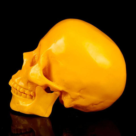 Statue Tête de Mort <br/> Crâne Décoratif