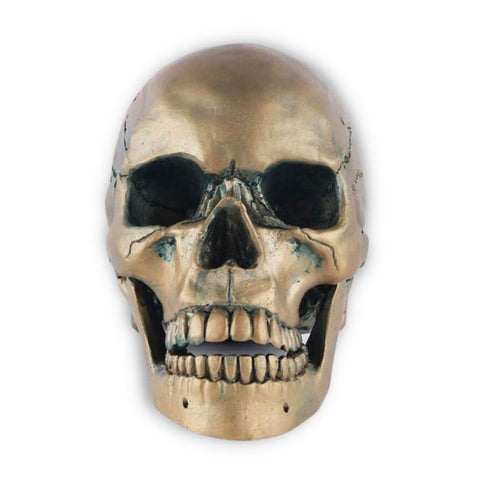 Statue Tête de Mort <br/> Crâne Bronze 15 cm