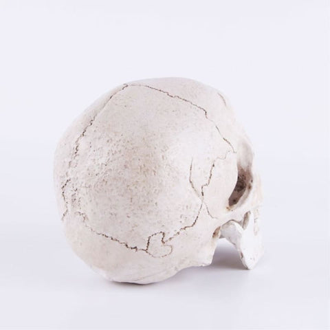 Statue Tête de Mort <br/> Décoration 14 cm