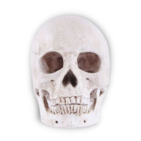 Statue Tête de Mort <br/> Décoration 14 cm