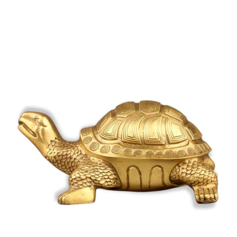 statue tortue exterieur